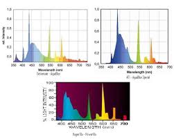 T5 Spectral Graphs Report Lighting Marine Aquariums