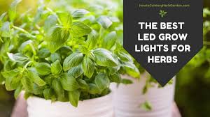 Led Grow Lights For Indoor Herbs