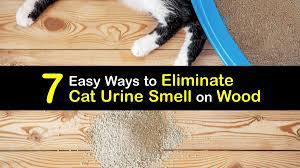 cat urine smell on wood get rid of