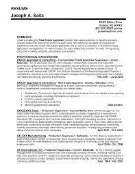 CFO Sample Resume   Executive resume writer for Technology     Resume financial analyst objective