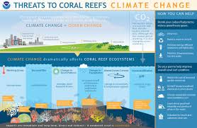 How Does Climate Change Affect Coral Reefs