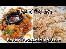 calf fries rocky mountain oysters