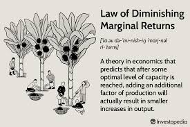 Law Of Diminishing Marginal Returns