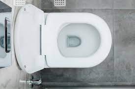 Blue Toilet Seat