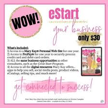 Mary Kay's EC Systems and E Commerce