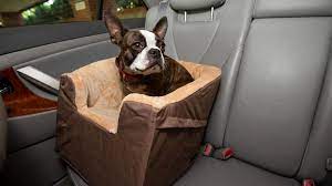 5 Best Dog Car Seats 2023 Guide
