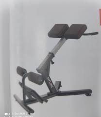 roman chair fe 26 at rs 36225 gym