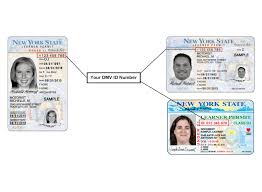 Check spelling or type a new query. New York Dmv Where To Find Your Client Id On Your Learner Permit