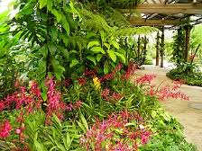 kuala lumpur orchid garden