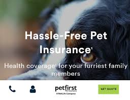 Maybe you would like to learn more about one of these? How To Find The Best Affordable Pet Insurance Policy Companies Cost Reviews Cake Blog