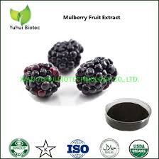 china white mulberry extract powder