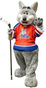 Will acton is number 41 on the edmonton oilers. Let S Talk About The Mascot Oilersnation