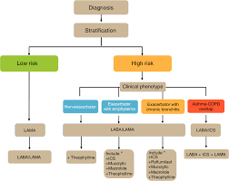 Figure 4 From Separ S Voice Spanish Copd Guidelines