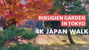 4k an walk rikugien garden in tokyo