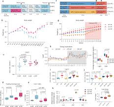 gut microbiota bile acid crosstalk