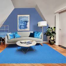 what color paint goes with blue carpet