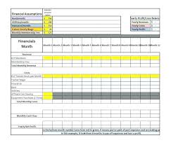 Simple Pl And Balance Sheet Template Personal Growth Plan Milestones