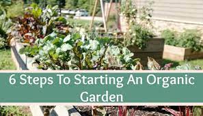Organic Garden For Beginners