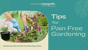 Top Tips For Injury Free Gardening
