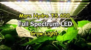 Mars Hydro Ts 600 Full Spectrum Led Grow Light For Hydroponics And Indoor Growing Youtube