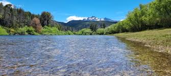Image result for fotos Los-Cipreses Chubut