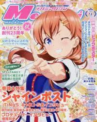 Megami magazine