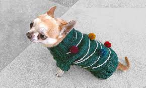 Knit Dog Sweater Free Dog