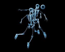 two skeleton 3d model skeletons ball