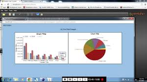 Pentaho And Openflash Chart Integration Youtube
