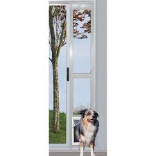 Pin On Dog Doors