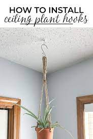 Ceiling Hook For Plants
