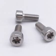 Stainless Steel Metric Torx Socket Head Cap Screw Iso 14579
