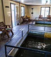 our indoor heated fishing dock lets you