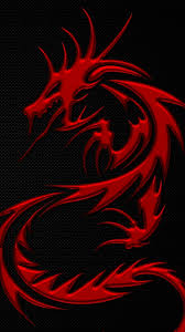 fantasy dragon phone wallpaper by