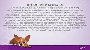 Dexdomitor 0 1 Dog Sedative Cat Sedative Analgesic