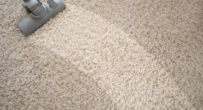 a perfectionist touch carpet cleaning