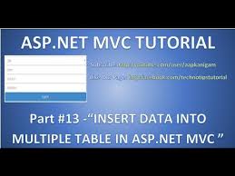 insert data into multiple tables