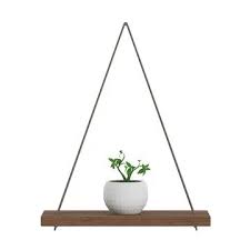 Wall Shelf On The Rope With Small Plant