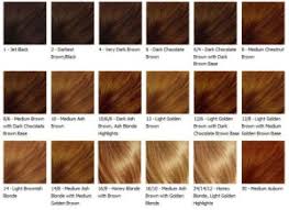 Clairol Color Chart Professional Sbiroregon Org
