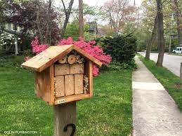 Tune in later this week for my diy pollinator pallet garden tutorial. The Horrors Of Mass Produced Bee Houses Colin Purrington