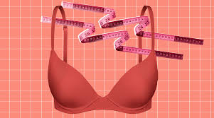 How To Measure Your Bra Size