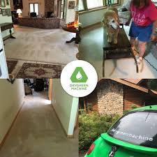 dry green machine carpet cleaning