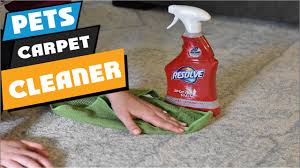 top 10 best carpet cleaner for pets