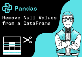 remove null values from a dataframe