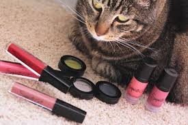 according to sophisti cat cosmetics