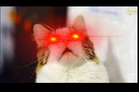 create a funny laser eyes meme for you