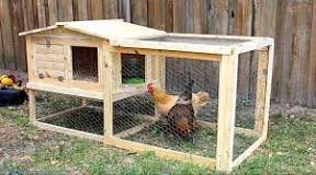is-it-hard-to-build-a-chicken-coop