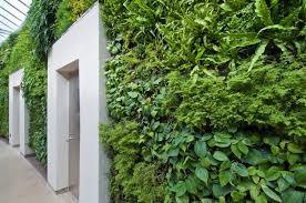 Green Roofs And Vertical Gardens
