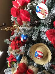 2 cups white rum don q puerto rican rum. Pin By Maruxa Carrion On Puertorrican Christmas Ideas For Decor Puerto Rico Art Christmas In Puerto Rico Puerto Rico Flag
