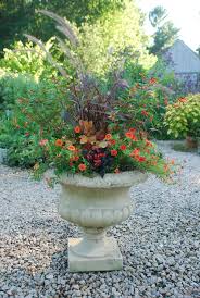 Planting Containers For Late Summer